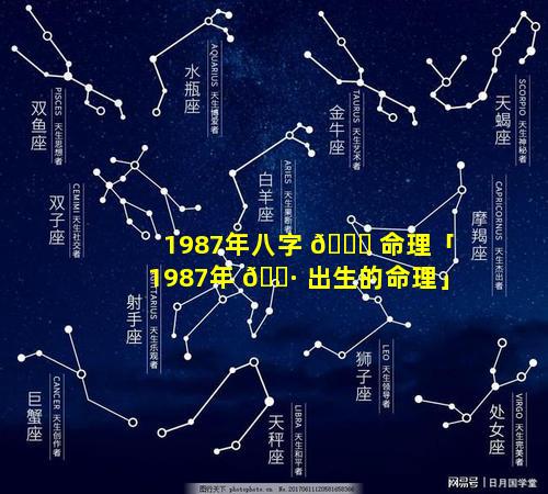 1987年八字 🐘 命理「1987年 🌷 出生的命理」